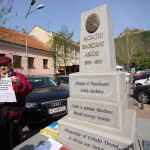 acatiu barcsay hunedoara (10)