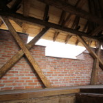 malaiesti (47)