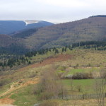 malaiesti (51)
