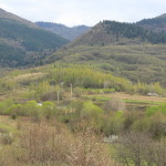 malaiesti (55)