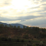 malaiesti (57)