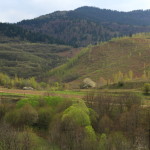 malaiesti (58)