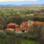 malaiesti (59)