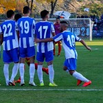 fc hunedoara (19)