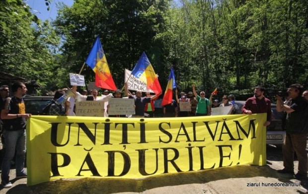 mai protest activisti