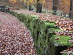 O poveste stranie despre Sarmizegetusa Regia, din urmă cu două secole