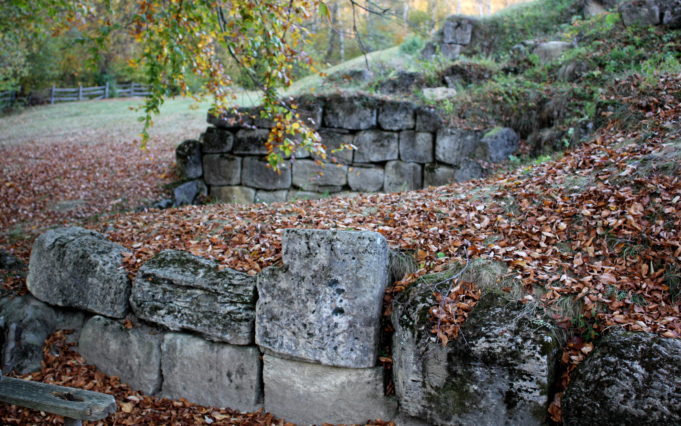 blidaru (123)
