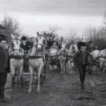 nunta in bosorod 1952 (18)