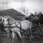 nunta in bosorod 1952 (19)