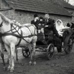 nunta in bosorod 1952 (20)