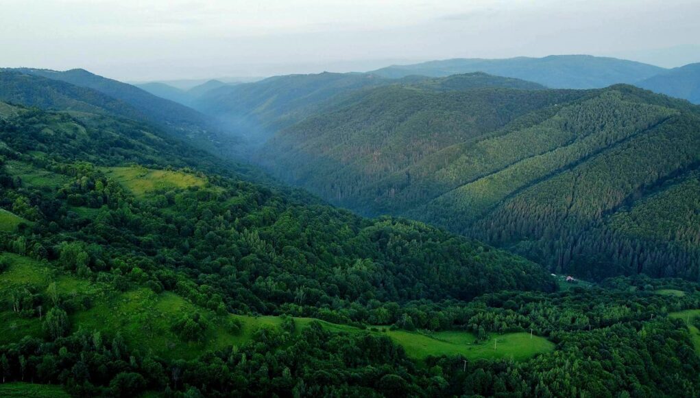 tinutul padurenilor valea cernisoarei