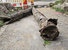 Conductele din Orașul Muncitoresc