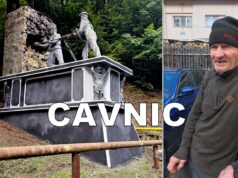 Minerul din Cavnic